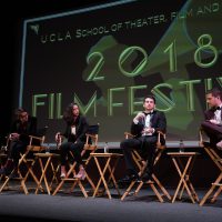TFT Festival 2018 490